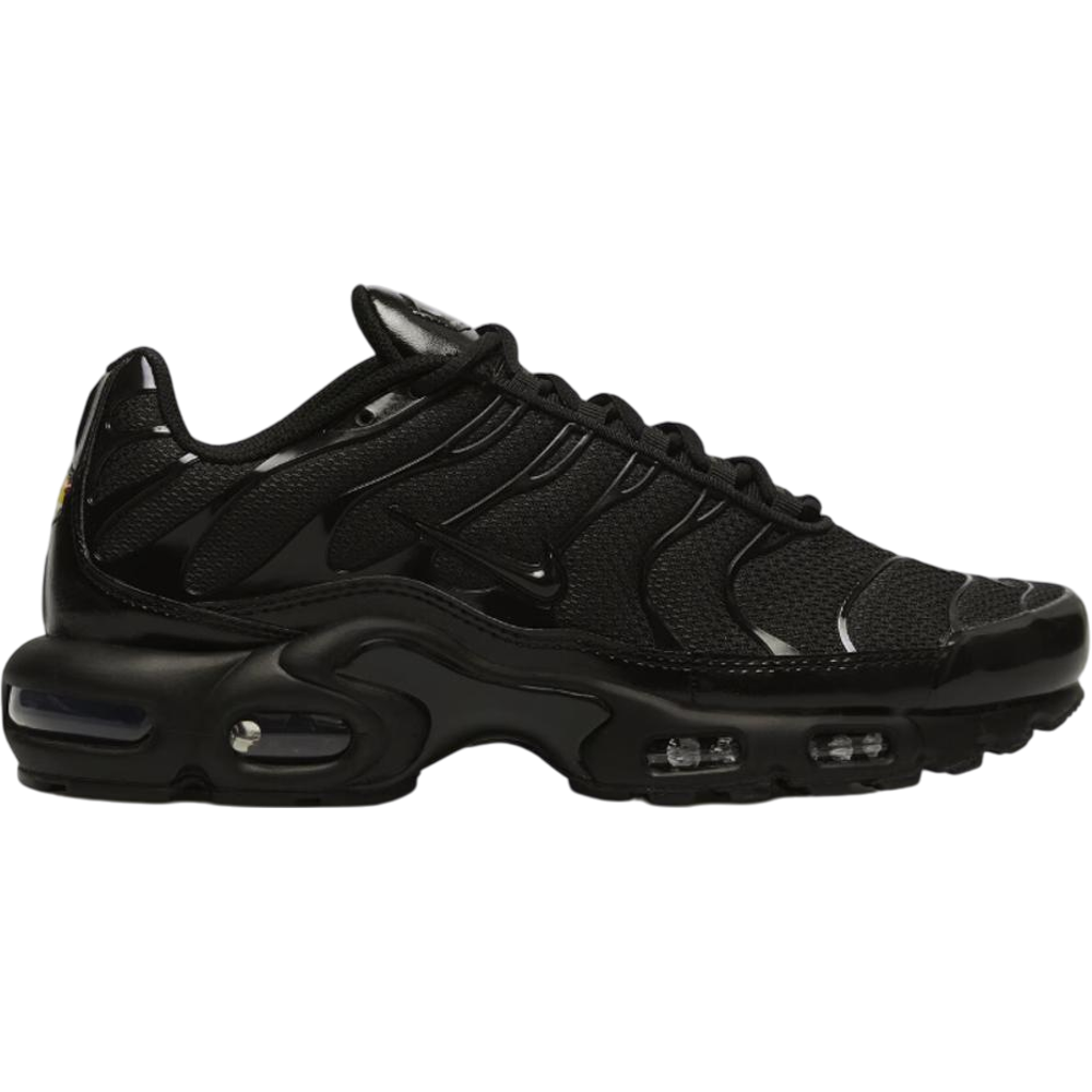 Nike Air Max Plus TN Triple Black Nike